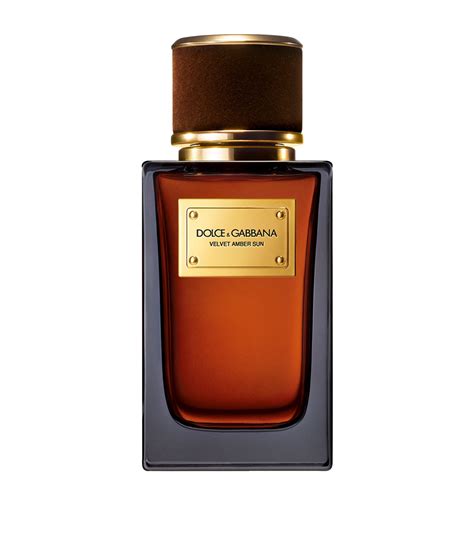 dolce gabbana velvet amber|sun dg.